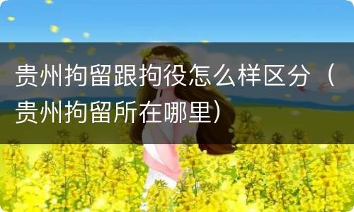 贵州拘留跟拘役怎么样区分（贵州拘留所在哪里）