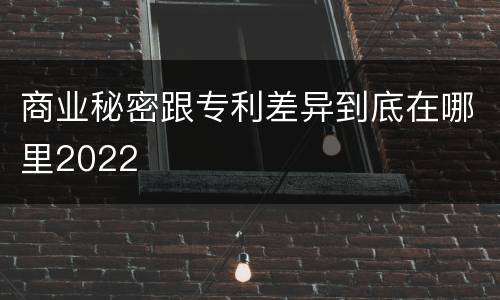 商业秘密跟专利差异到底在哪里2022