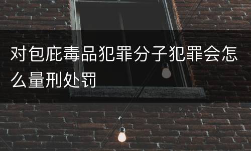 对包庇毒品犯罪分子犯罪会怎么量刑处罚