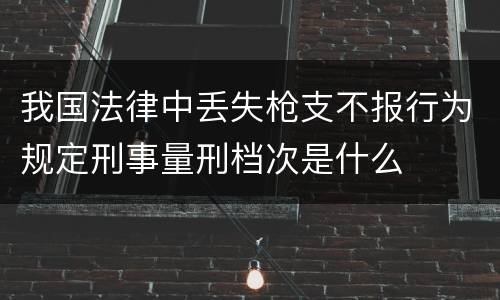 我国法律中丢失枪支不报行为规定刑事量刑档次是什么
