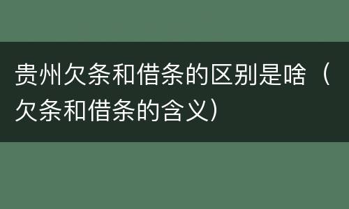 贵州欠条和借条的区别是啥（欠条和借条的含义）
