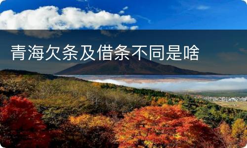 青海欠条及借条不同是啥