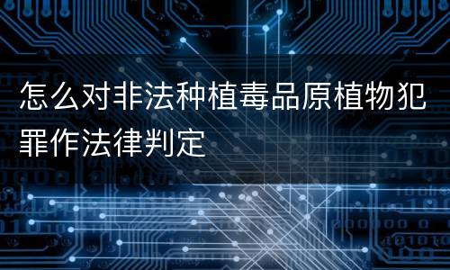 怎么对非法种植毒品原植物犯罪作法律判定