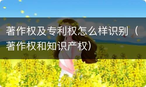 著作权及专利权怎么样识别（著作权和知识产权）