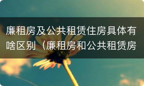 廉租房及公共租赁住房具体有啥区别（廉租房和公共租赁房的区别）