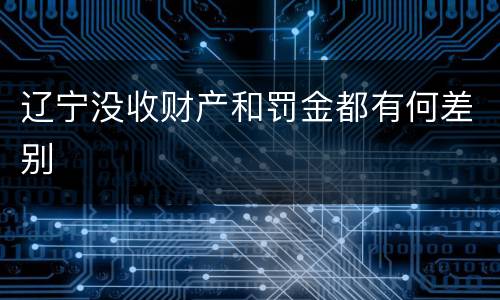 辽宁没收财产和罚金都有何差别