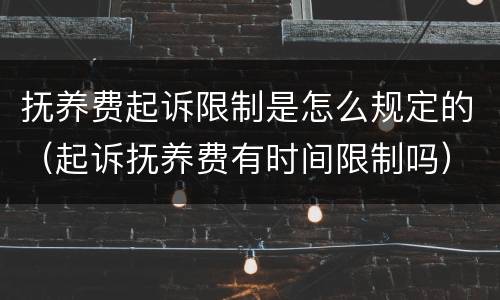 抚养费起诉限制是怎么规定的（起诉抚养费有时间限制吗）