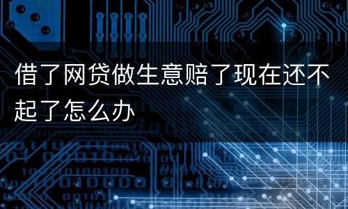借了网贷做生意赔了现在还不起了怎么办