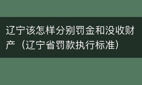 辽宁该怎样分别罚金和没收财产（辽宁省罚款执行标准）