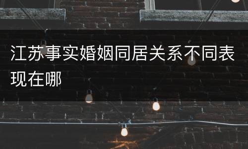 江苏事实婚姻同居关系不同表现在哪
