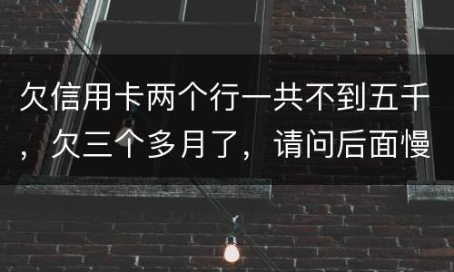 欠信用卡两个行一共不到五千，欠三个多月了，请问后面慢慢还还会起诉吗