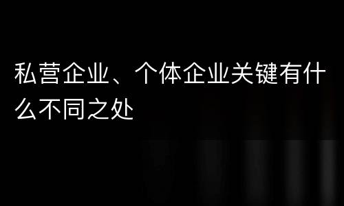 私营企业、个体企业关键有什么不同之处