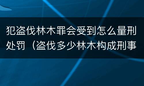 犯盗伐林木罪会受到怎么量刑处罚（盗伐多少林木构成刑事犯罪）