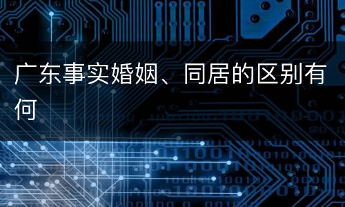 广东事实婚姻、同居的区别有何