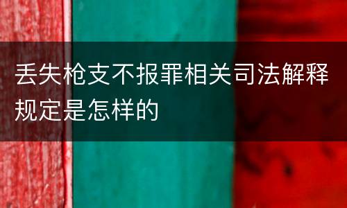 丢失枪支不报罪相关司法解释规定是怎样的