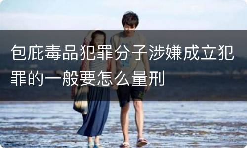 包庇毒品犯罪分子涉嫌成立犯罪的一般要怎么量刑