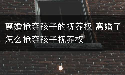 离婚抢夺孩子的抚养权 离婚了怎么抢夺孩子抚养权