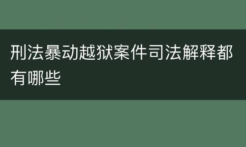 刑法暴动越狱案件司法解释都有哪些