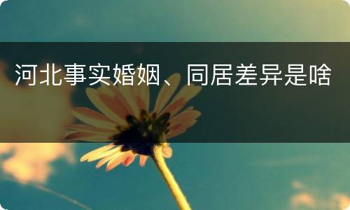 河北事实婚姻、同居差异是啥