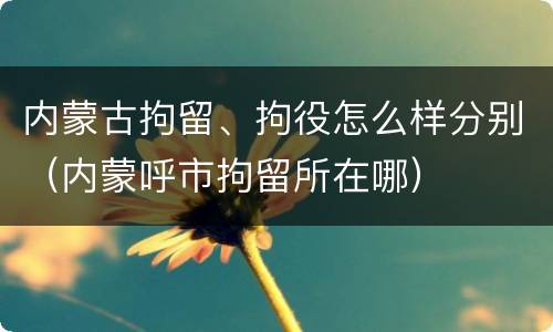 内蒙古拘留、拘役怎么样分别（内蒙呼市拘留所在哪）