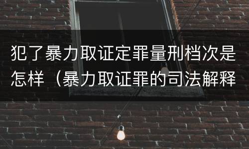 犯了暴力取证定罪量刑档次是怎样（暴力取证罪的司法解释）