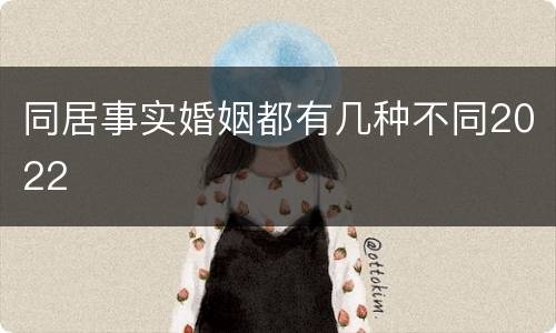 同居事实婚姻都有几种不同2022