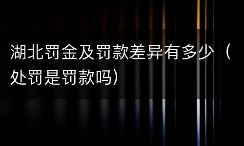 湖北罚金及罚款差异有多少（处罚是罚款吗）