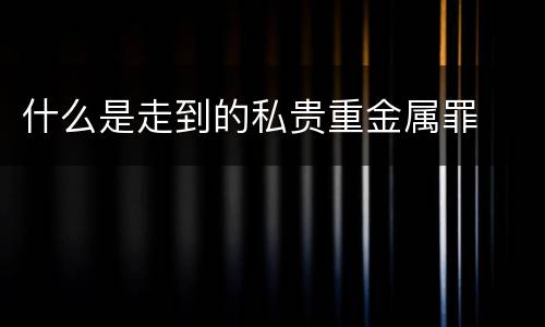 什么是走到的私贵重金属罪