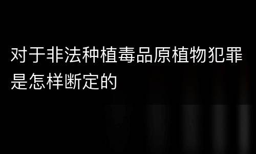 对于非法种植毒品原植物犯罪是怎样断定的