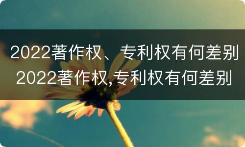 2022著作权、专利权有何差别 2022著作权,专利权有何差别呢