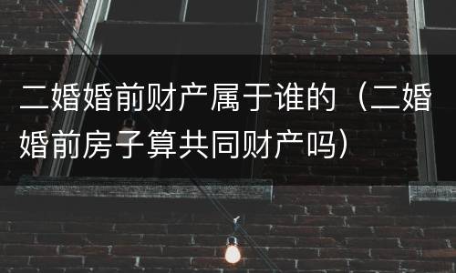 二婚婚前财产属于谁的（二婚婚前房子算共同财产吗）