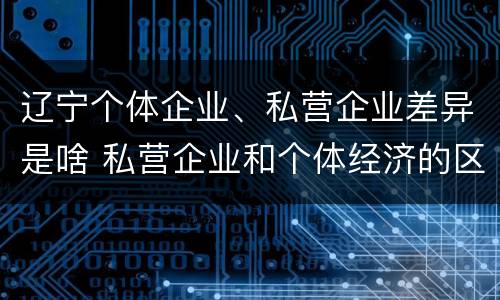 辽宁个体企业、私营企业差异是啥 私营企业和个体经济的区别