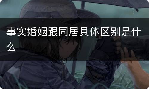 事实婚姻跟同居具体区别是什么