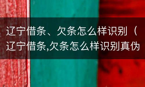 辽宁借条、欠条怎么样识别（辽宁借条,欠条怎么样识别真伪）