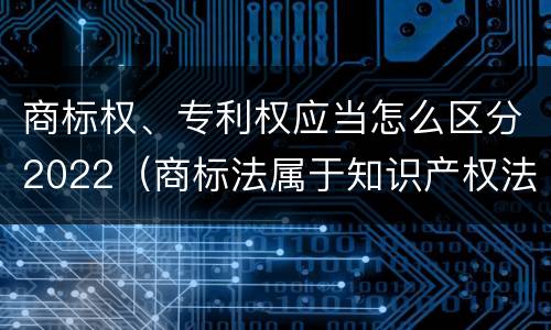 商标权、专利权应当怎么区分2022（商标法属于知识产权法）
