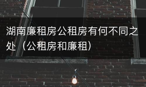 湖南廉租房公租房有何不同之处（公租房和廉租）