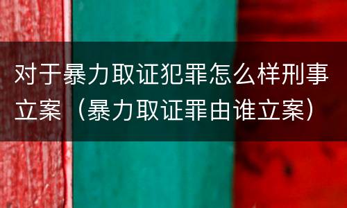 对于暴力取证犯罪怎么样刑事立案（暴力取证罪由谁立案）