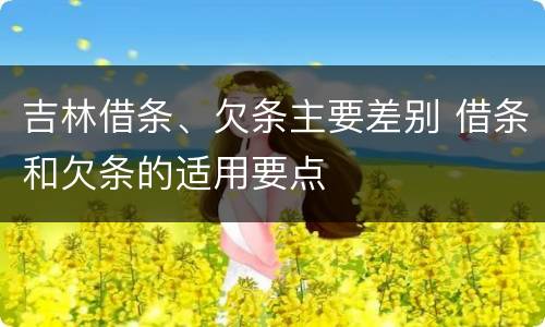 吉林借条、欠条主要差别 借条和欠条的适用要点