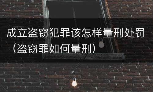 成立盗窃犯罪该怎样量刑处罚（盗窃罪如何量刑）