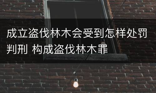 成立盗伐林木会受到怎样处罚判刑 构成盗伐林木罪