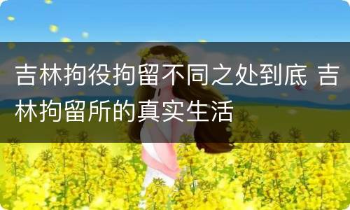 吉林拘役拘留不同之处到底 吉林拘留所的真实生活