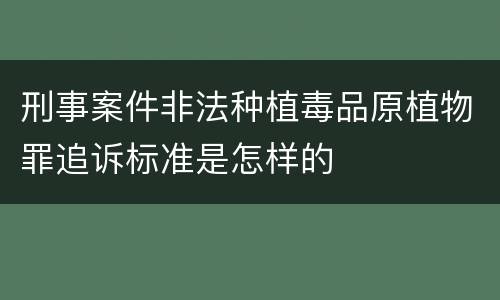 刑事案件非法种植毒品原植物罪追诉标准是怎样的