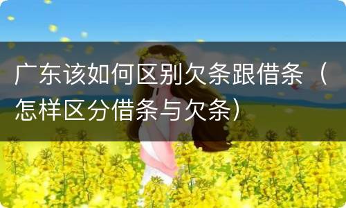 广东该如何区别欠条跟借条（怎样区分借条与欠条）