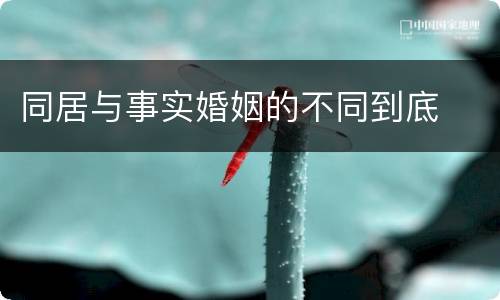 同居与事实婚姻的不同到底