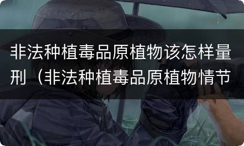 非法种植毒品原植物该怎样量刑（非法种植毒品原植物情节较轻是多少）