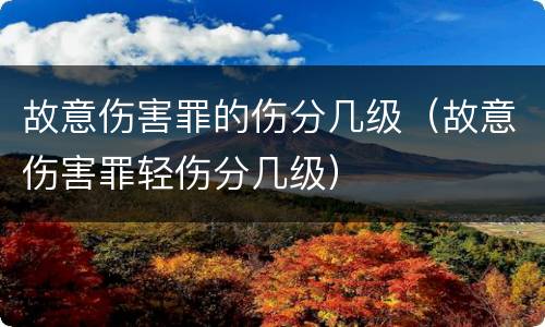 故意伤害罪的伤分几级（故意伤害罪轻伤分几级）