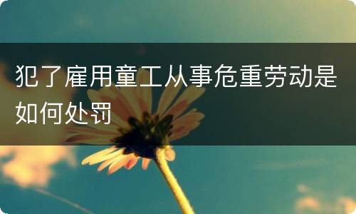 犯了雇用童工从事危重劳动是如何处罚