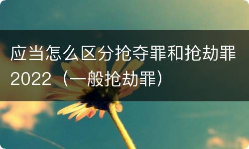 应当怎么区分抢夺罪和抢劫罪2022（一般抢劫罪）