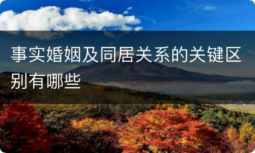 事实婚姻及同居关系的关键区别有哪些