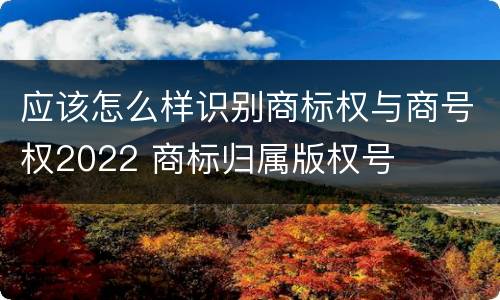 应该怎么样识别商标权与商号权2022 商标归属版权号